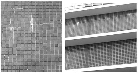 Sabbatini (1990) retrata seis aspectos que podem reduzir o aparecimento das eflorescências: Utilizar placas cerâmicas sem sais solúveis; Utilizar rejunte flexível, evitando microfissuras tornando-os
