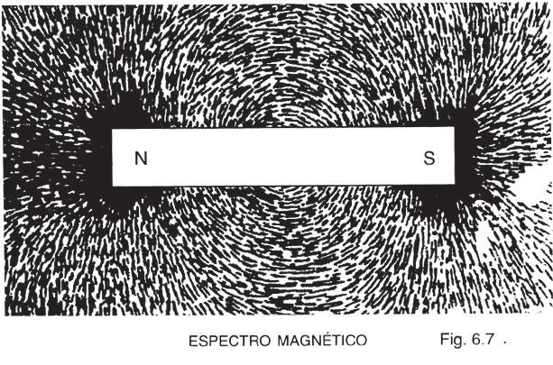 extremidades, imersas num campo elétrico uniforme, conformo a figura 6.5. Os ímãs tendem a se alinhar no sentido norte-sul devido a uma lei fundamental do magnetismo.