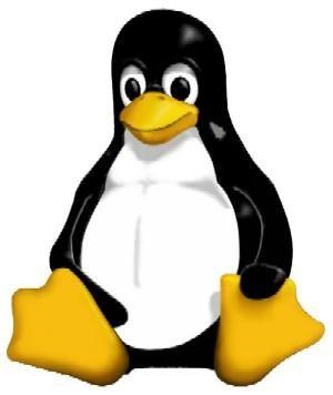 GNU + Linux = GNU/Linux O SO livre mais conhecido, usado e de progresso