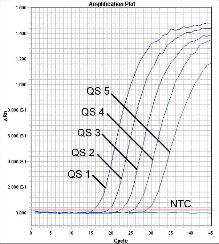 Fig. 27: Detecção dos Padrões de quantificação (HBV RG/TM QS 1-5) através da detecção de um sinal de fluorescência