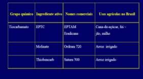 SELETIVIDADE-TIOCARBAMATOSTIOCARBAMATOS metabolização pelas plantas as plantas tolerantes fazem a detoxificação pela congugação com glutationa.