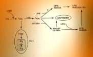 Modo de Ação: Inibidores do FS II Inicialmente a dissipação da energia ocorre pelos carotenóides.