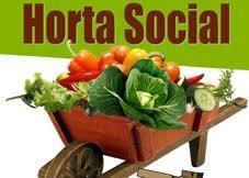 de hortícolas e frutos: Hortas Sociais VANTAGENS?