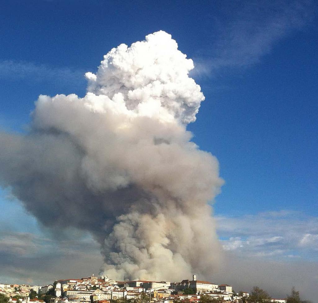 Incêndios Florestais em Portugal Pilar do Combate Assembleia da República 12 de Fevereiro de 2014