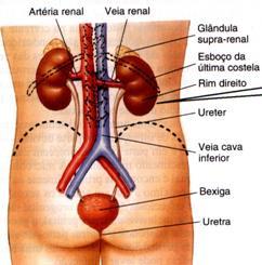 18 VISÃO GERAL DOS MECANISMOS DE CONTROLE