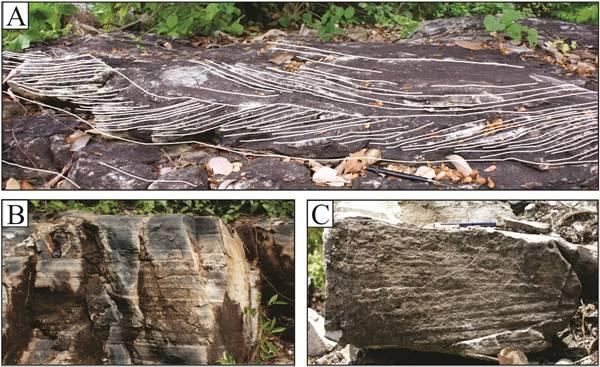A litológica dominante consiste em arenito com granulometria fina a grossa e moderadamente a bem selecionada, raramente mal selecionado, ocorrem secundariamente camadas delgadas de pelito.