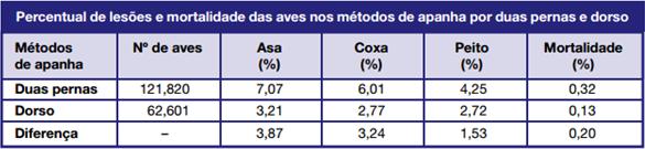 aves são invertidas e suspensas pelas pernas e há maior estresse, risco de lesões e mortalidade do que na apanha pelo dorso, conforme demonstrado no quadro abaixo.