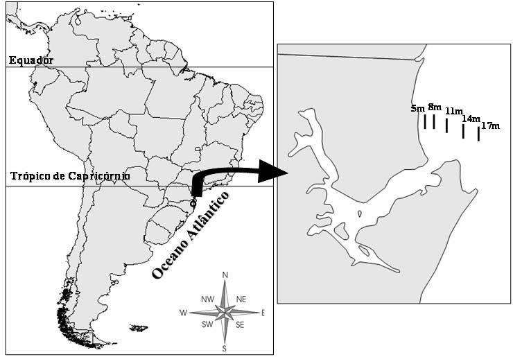 Capítulo 1 Figura 1: Baía da Babitonga, no litoral do estado de Santa Catarina, demonstrando os pontos amostrados em cada profundidade. Fonte: Castilho, A. L., 2011.