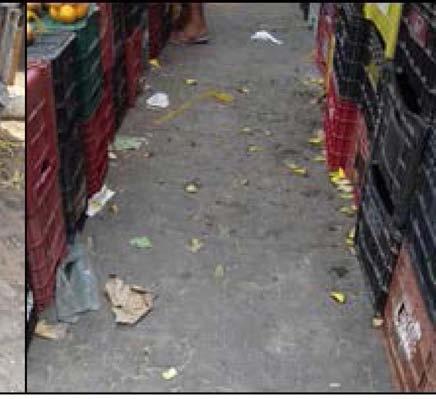 A feira do município de Solânea PB dispõe de depósitos de lixo (tambores) e caixas coletoras,