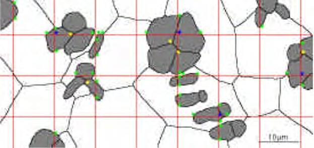 75µm = 1125 µm intersecções : 72 (verde) área total da imagem: