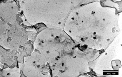 (13) (1) (12) (1) (12) (1) B [ 2 ] Figura 6: Micrografia de campo claro, correspondente ao aço T-D com deformação total ε T = 1,95, e padrão de difração de elétrons em área selecionada identificando