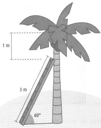 EXERCÍCIOS: 1) Utilizando as relações métricas nos triângulos retângulos, responda os itens a seguir: a) Um observador de 1,65 m de altura vê, sob um ângulo de 55º, o topo de um edifício construído