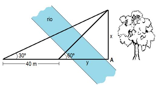 (Dados: tg 60º = 1,7; sen 60º = 0,9; cos 60º = 0,5) c) Sabendo que o ângulo Â é reto, observe com atenção a imagem a seguir e determine a largura do rio y e a altura da árvore x.