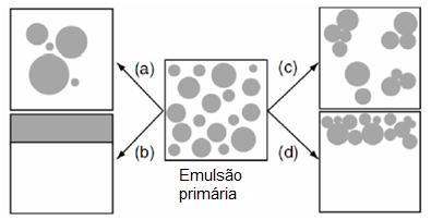15 Figura 1 Representação esquemática dos processos de instabilidade de emulsões.