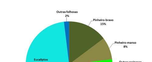 Principais Indicadores de aplicação da campanha de MFR Produção de espécies