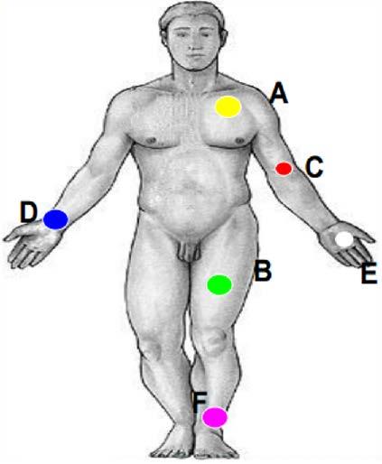 Anatomia EMERGÊNCIAS PRÉ-HOSPITALARES NOS MEMBROS, EMPREGAM-SE TERMOS ESPECIAIS DE POSIÇÃO: Proximal: situado mais próximo à raiz do membro. Médio: situado entre proximal e distal.