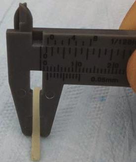 Figura 2 Posicionamento da ponta do aparelho fotopolimerizador sobre a lâmina de vidro de microscópio e o corpo de prova.