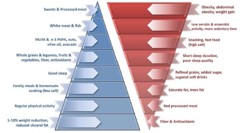 Dieta Mediterrânea vs Dieta Ocidental DHGNA Doces e comidas processadas Carne branca e peixe MUFA e ω3 PUFA, nozes, azeite, abacate Grãos integrais e legumes, frutas e vegetais, fibra, antioxidantes