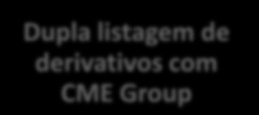 liquidação financeira e mini contrato futuro do S&P 500, sendo que outros