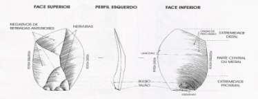 32 Figura 1: Vestígios de lascamento presentes em uma lasca. Tixier et al., 1980.