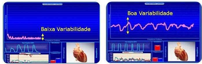 Benefícios comprovados pela Ciência Melhora no ciclo sono-vigília; Auxiliar nos tratamentos de doenças degenerativas; Diminuir Estresse e Auxiliar no tratamento da Depressão; Regulador hormonal;