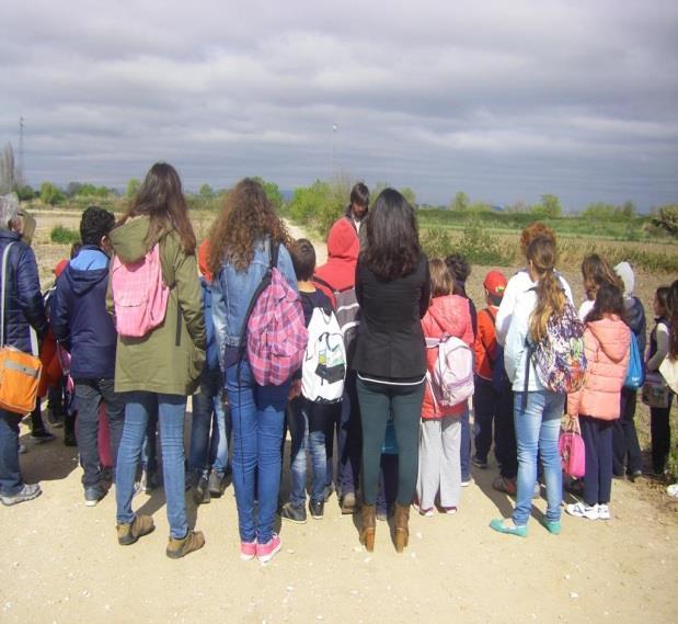 2 grupos de 4 jovens, um em Samora Correia e outro em Benavente, com o objetivo de colaborar nas atividades dirigidas aos mais jovens.