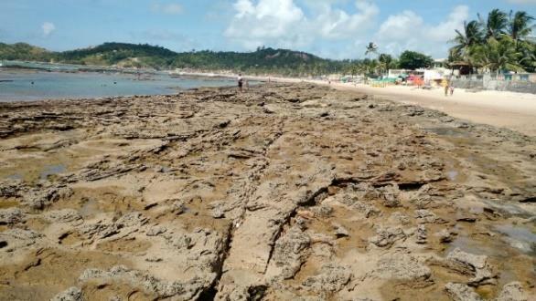 Elas refletem nível relativo do mar mais alto do que o atual durante o Holoceno.