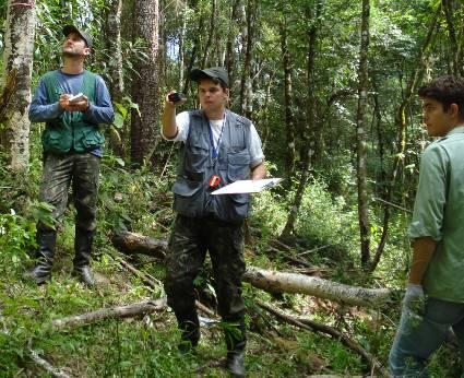 A rede de pontos é de 5 x 5 km na Floresta Estacional Decidual, que é a mais degradada e ameaçada do Estado.