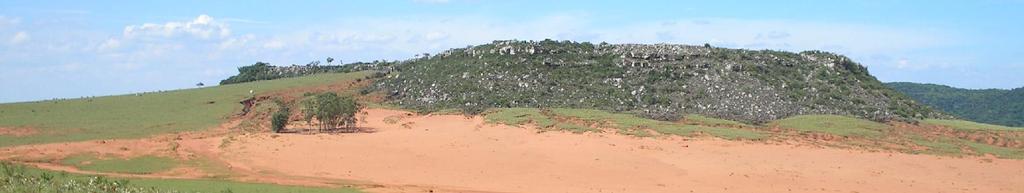 112 Areais Os areais da bacia hidrográfica do Rio Itu foram definidos pelas áreas constituídas por campos de areia sem a presença de qualquer tipo de vegetação.