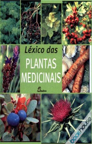 abelhas, a polinização, a biologia das abelhas, os primórdios da apicultura, a apicultura moderna, a preparação do mel, as abelhas na natureza, o local mais indicado para o colmeal, os custos e a