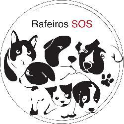 Gatos para Adopção RafeiroSOS - Rafeiros SOS https://www.facebook.