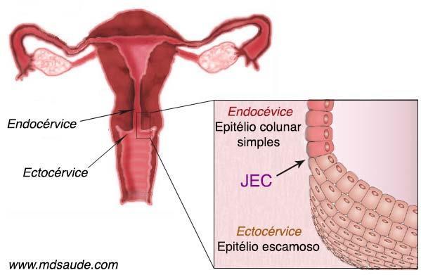 JEC Junção