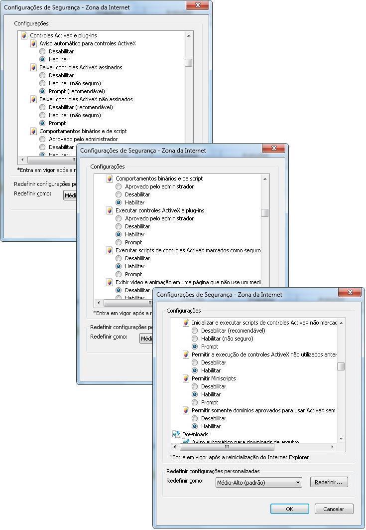 4. Ative as opções de Controles ActiveX e plug-ins conforme abaixo e clique em OK.