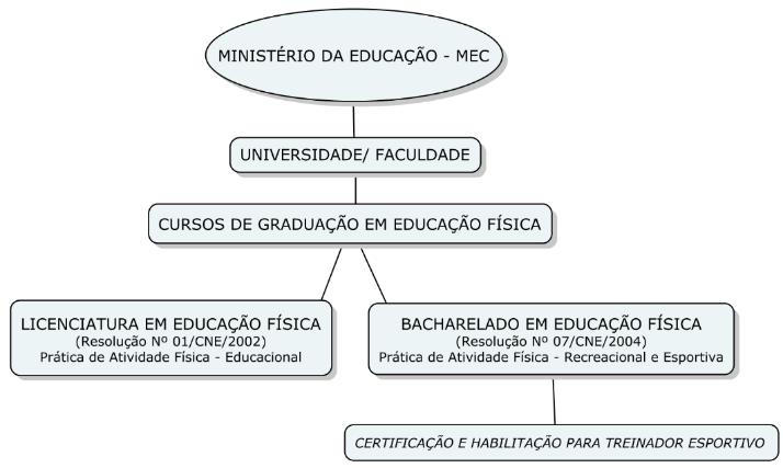 93 4.3 FORMAÇÃO UNIVERSITÁRIA A estrutura para a profissionalização como treinador no Brasil já está consolidada, o curso de Bacharelado em Educação Física gradua o profissional para que sua atuação