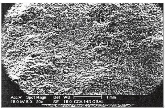 Frizzo, 2001 Figura 9: Micrografia do concreto com 10%