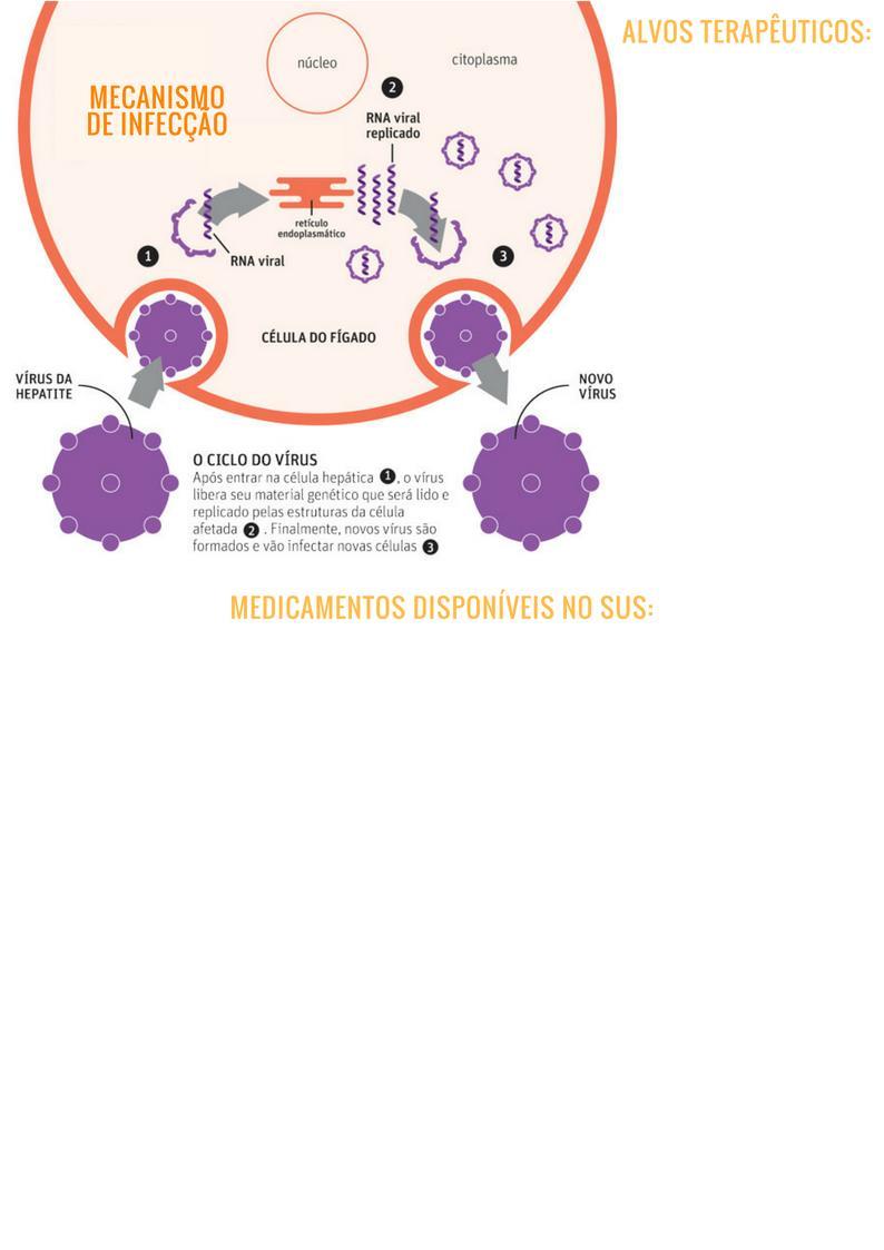 Inibidores da replicação do RNA viral, partindo dos mecanismos de bloqueio de complexos proteicos, como NS5A/B ou NS3/4, e de montagem do vírion do HCV. (CONITEC, 2017) Fonte: http://www.ciencias.