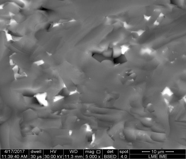 por SHS apresentam escala próxima a nanométrica, o que favorece a ocupação de espaços vazios no SiC que possui escala