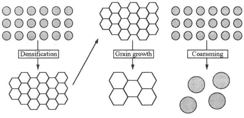 Densificação Crescimento do grão Coarsening FIG. 2.16 Processos de densificação e coarsening (BARSOUM, 2003). 2.9.