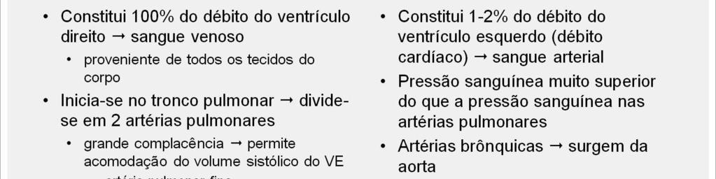 A circulação pulmonar: A circulação pulmonar inicia com o tronco pulmonar, o qual recebe sangue venoso do ventrículo direito.