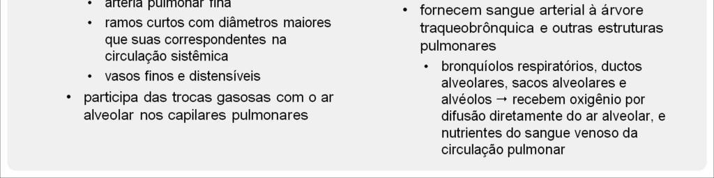 Seus ramos são muito curtos, e todas as artérias pulmonares, mesmo as menores artérias e arteríolas, possuem diâmetros maiores do que suas correspondentes na circulação sistêmica.