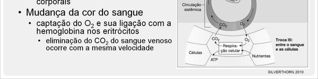 A troca de ar entre a atmosfera e os pulmões.