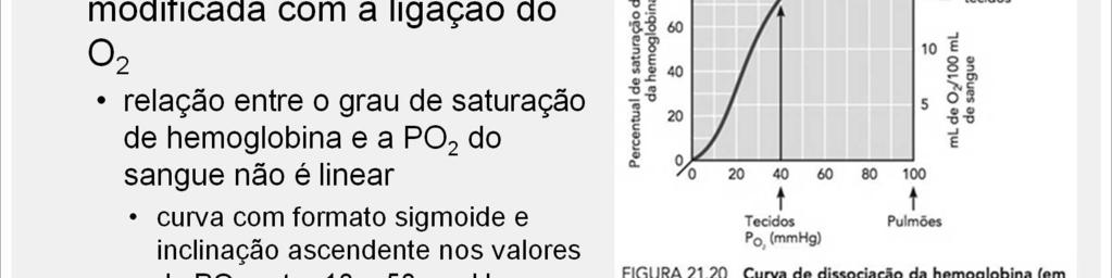 A proporção de oxigênio ligado à hemoglobina é expressa como percentual de saturação.