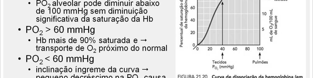 A curva de saturação da hemoglobina mostra outros dois fatores importantes.