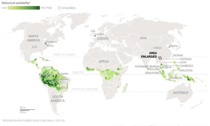 6 ÁSIA 92% da Produção Mundial de Borracha Natural Conversão generalizada das terras em zonas propensas a geada e escassez de água é o resultado