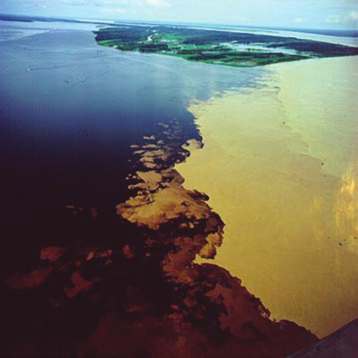 Quando os dois rios se encontram próximo a Manaus, as águas não se misturam instantaneamente, pois tem coloração, temperatura, composição química e meios distintos (ácido e básico).