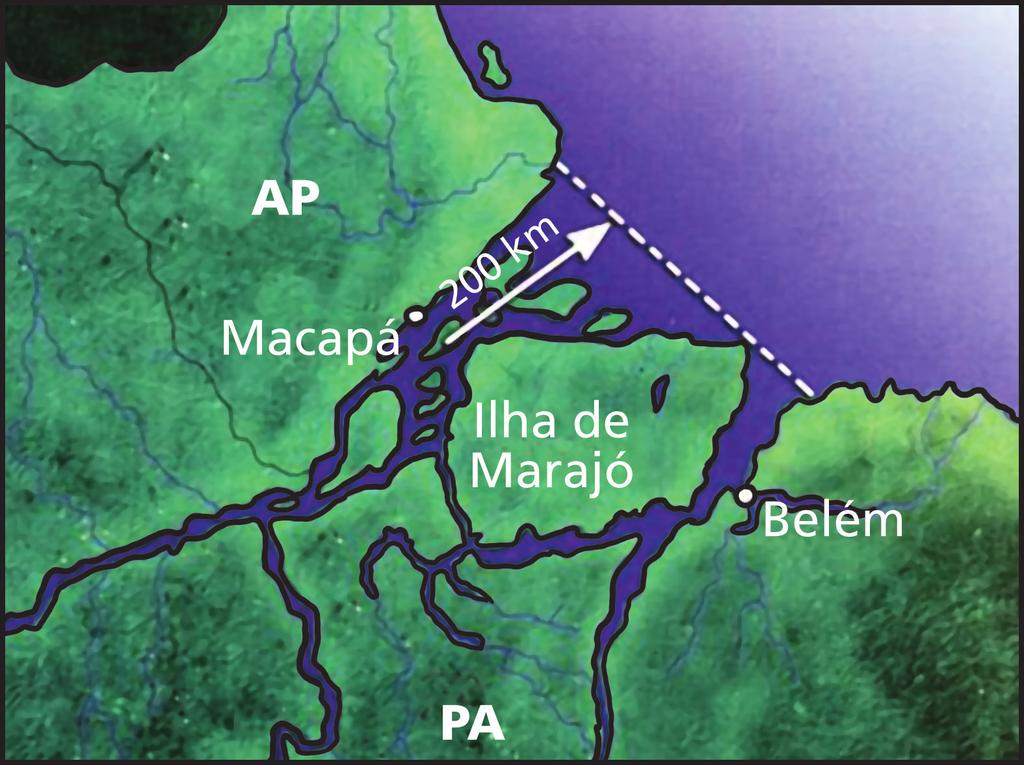 No médio curso da bacia hidrográfica o rio já não desce mais montanhas, mas atravessa imensa depressão e planície fluvial desaguando no Golfo Amazônico, no chamado baixo curso do rio Amazonas, onde o