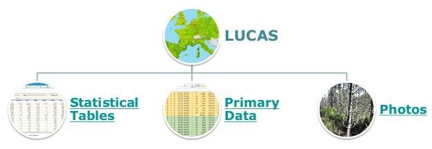 LUCAS LUCAS - Land Use and Land Cover Area Survey Inquérito por amostragem