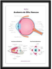 e lojas sobre defeitos visuais de campo associados com lesões nas