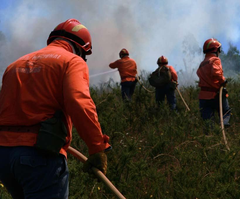 Ao longo deste período, assistiu-se também ao reforço e criação de novos agentes de protecção civil vocacionados para a Defesa da Floresta Contra Incêndios (DFCI), aumentando significativamente as