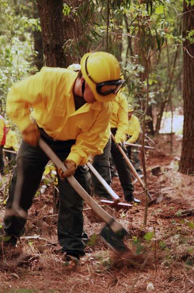 Houve o reforço das equipas de sapadores florestais (esf) sob coordenação da Autoridade Florestal Nacional (AFN), passando de 12 esf em 23 para 263 em 28, num total de 1.315 sapadores florestais.